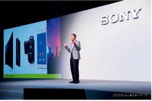 光影定格魅力瞬間——2014索尼魅力賞與中國(guó)攝影藝術(shù)的交融